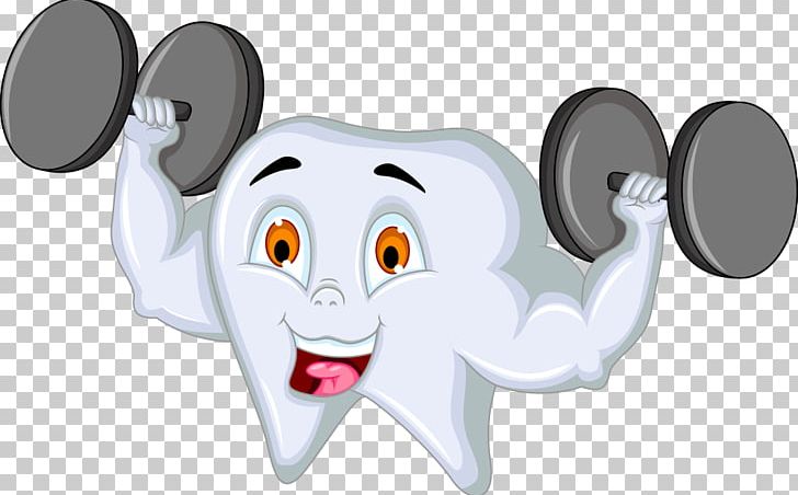 Tooth Brushing Human Tooth PNG, Clipart, Brush, Carnivoran, Cartoon, Cartoon Tooth, Fictional Character Free PNG Download
