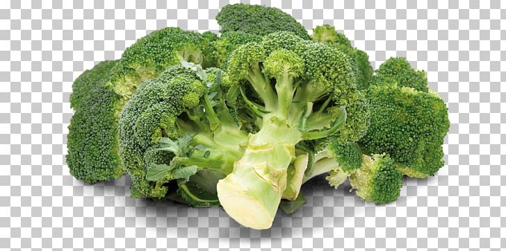 Broccoli Vegetarian Cuisine Vegetable Rapini PNG, Clipart, Antioxidant, Broccoli, Collard Greens, Cruciferous Vegetables, Food Free PNG Download