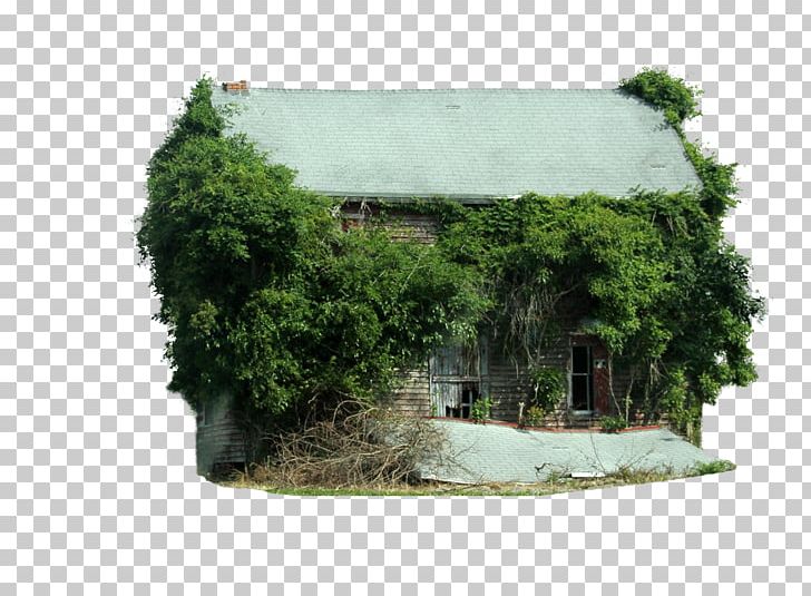 Computer Software Tree House PNG, Clipart, Barn, Cabin, Clipping Path, Computer Software, Coreldraw Free PNG Download