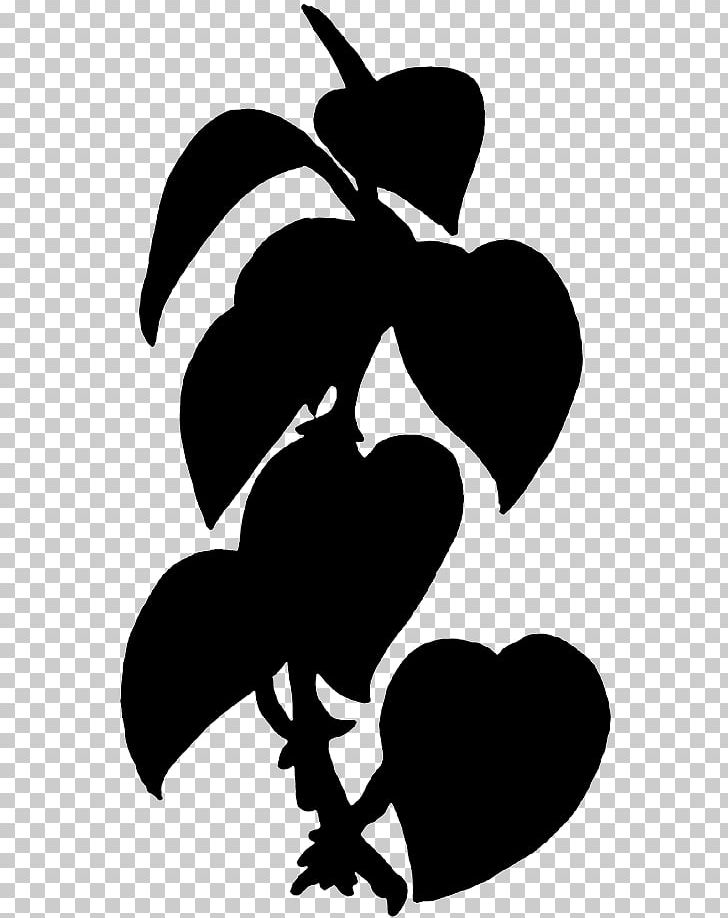 Plant Ivy PNG, Clipart, Black, Black And White, Branch, Byte, Common Daisy Free PNG Download