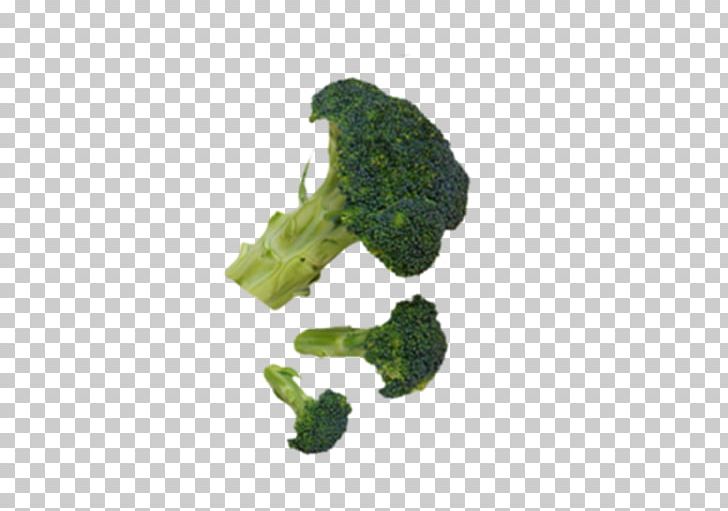 Vegetable PNG, Clipart, Background Green, Broccoli, Cauliflower, Download, Fruit Free PNG Download