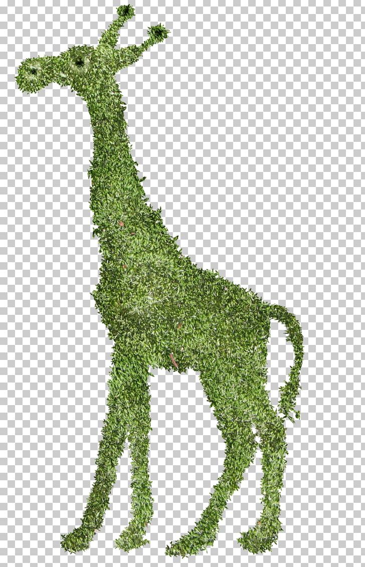 Giraffe PNG, Clipart, Alice In Wonderland, Art, Color, Deer, Devils Town Free PNG Download