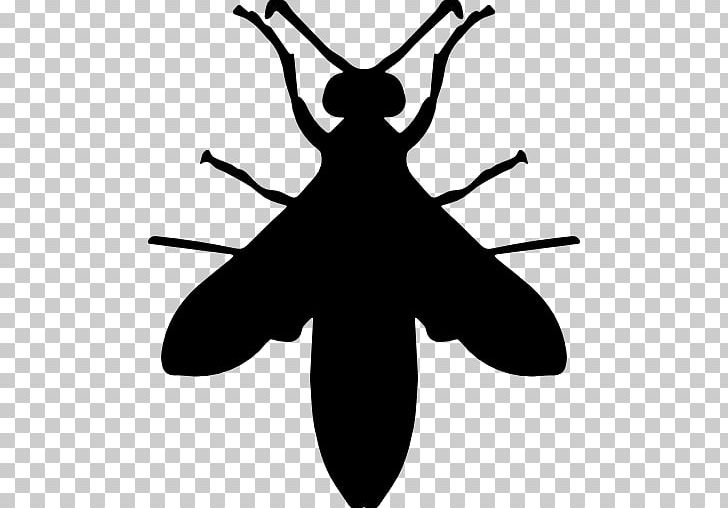 Hornet Wasp PNG, Clipart, Animals, Artwork, Black And White, Computer Icons, Drawing Free PNG Download