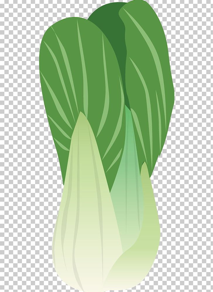 Napa Cabbage Brussels Sprout Vegetable PNG, Clipart, Bok Choy, Brassica Oleracea, Cabbage, Cartoon, Cartoon Character Free PNG Download