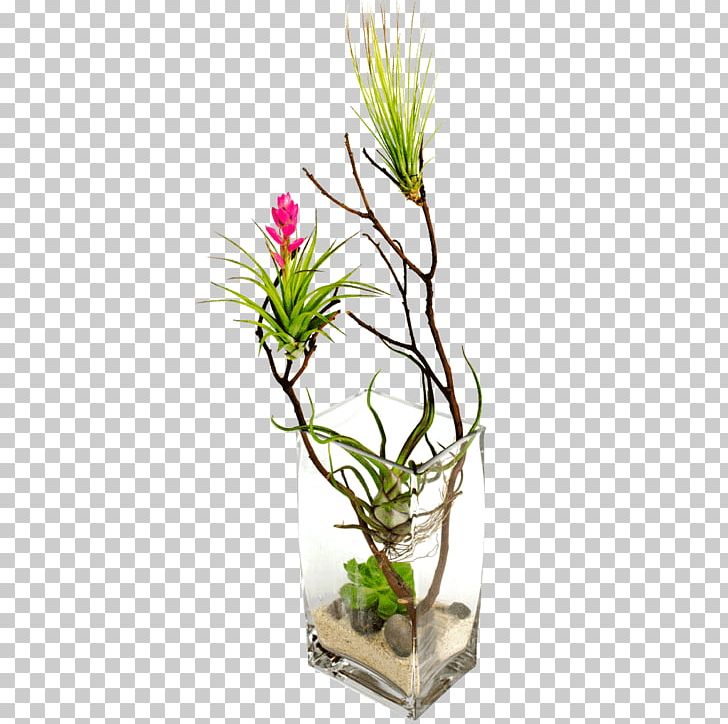 Floral Design Cut Flowers Houseplant Succulent Plant PNG, Clipart, Aquarium Decor, Artificial Flower, Cut Flowers, Desert, Echeveria Free PNG Download