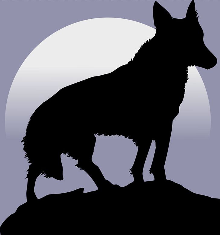 Mongolian Wolf Japanese Wolf PNG, Clipart, Aullido, Black And White, Carnivoran, Dog, Dog Breed Free PNG Download