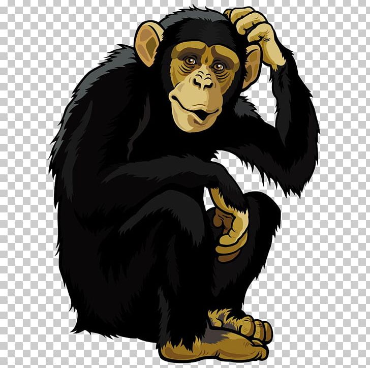 Orangutan Monkey Chimpanzee PNG, Clipart, Animals, Background Black, Bear, Black, Black Border Free PNG Download