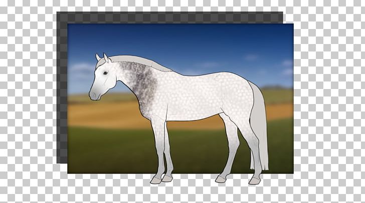 Stallion Mustang Foal Halter Mare PNG, Clipart, Bridle, Character, Fiction, Fictional Character, Foal Free PNG Download