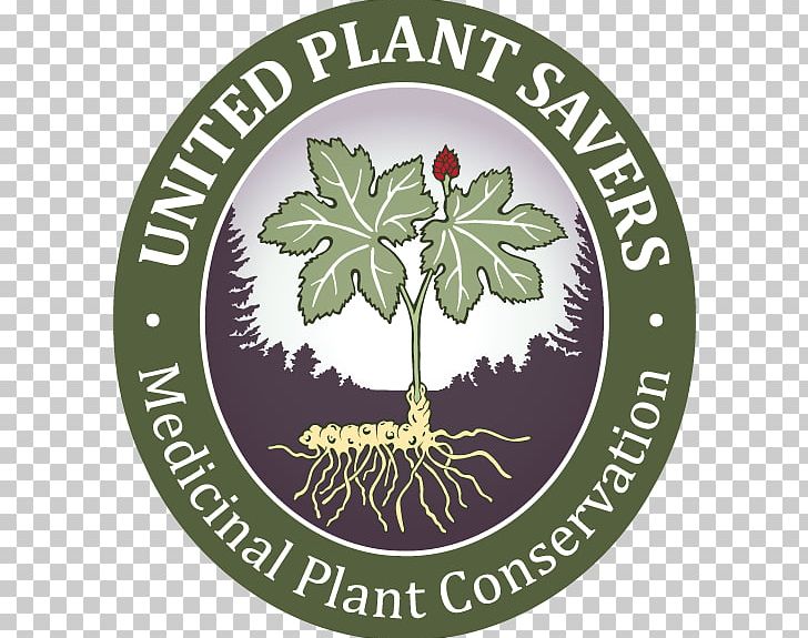 United Plant Savers Medicinal Plants United States Goldenseal PNG, Clipart, Brand, Food Drinks, Goldenseal, Healing, Herb Free PNG Download