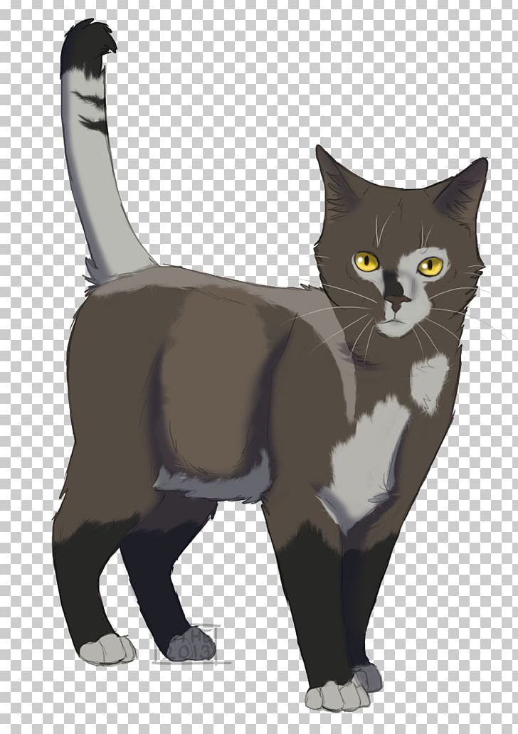 Whiskers Kitten Domestic Short-haired Cat Black Cat PNG, Clipart, Animals, Apprentice, Black Cat, Brambleclaw, Carnivoran Free PNG Download