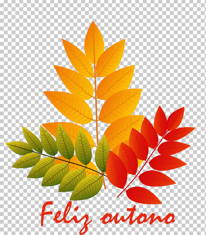 Hello Autumn Welcome Autumn Hello Fall PNG, Clipart, Acer Truncatum, Autumn, Autumn Leaf Color, Branch, Flower Free PNG Download