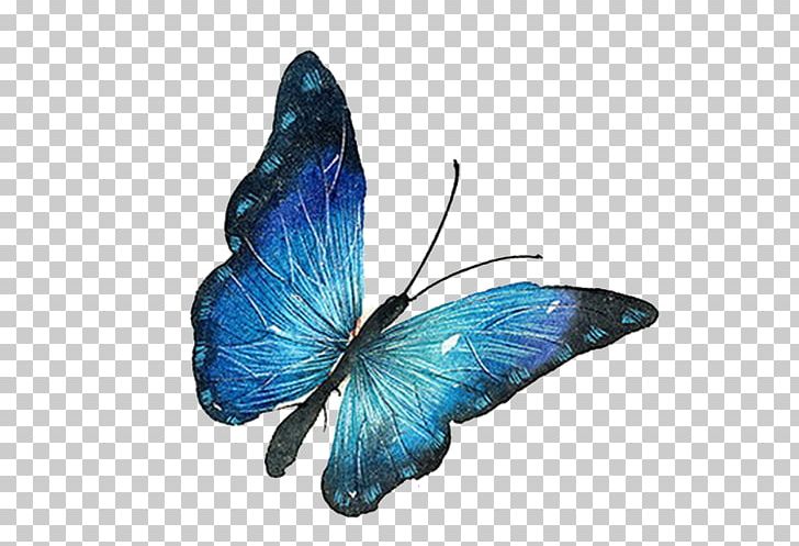 Butterfly Euclidean PNG, Clipart, Animal, Arthropod, Biological, Biological Material, Blu Free PNG Download