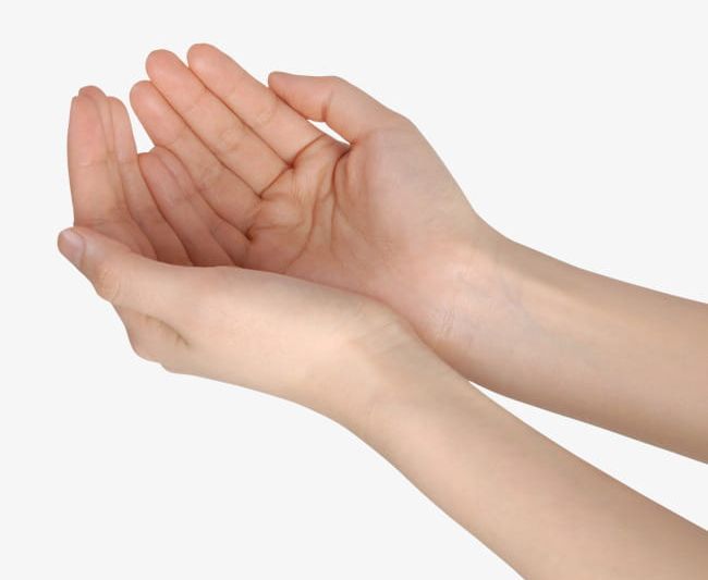 Hands Holding Something PNG, Clipart, Beautiful, Beautiful Hands, Close, Exuberant, Exuberant Fine Hand Free PNG Download