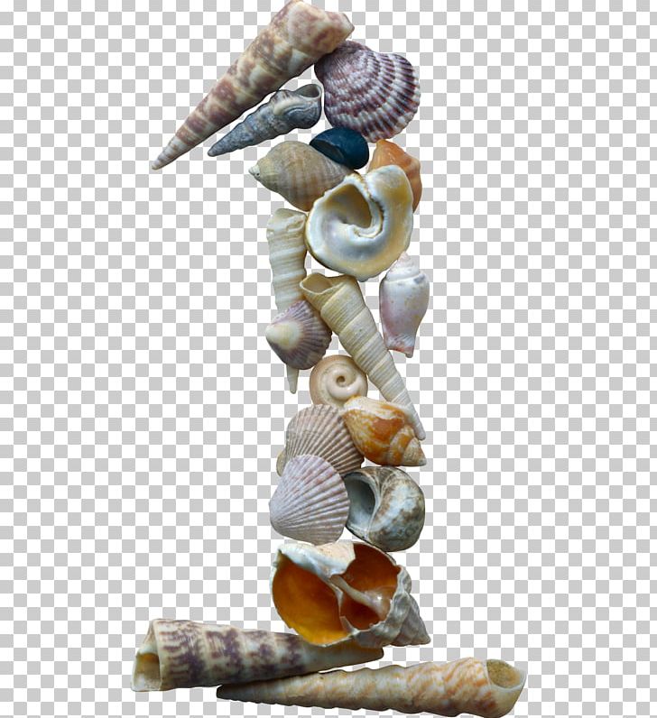 Numerical Digit Number Alphabet Seashell Mollusc Shell PNG, Clipart, Alphabet, Animals, Download, Figurine, Letter Free PNG Download