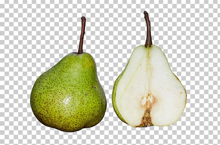 Shipova Gymnosporangium Fruit Asian Pear Food PNG, Clipart, Apple, Asian Pear, Avocado, Cross Section, Eating Free PNG Download