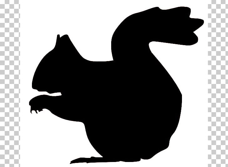 Squirrel Silhouette PNG, Clipart, Beak, Bird, Carnivoran, Cartoon, Cat Free PNG Download