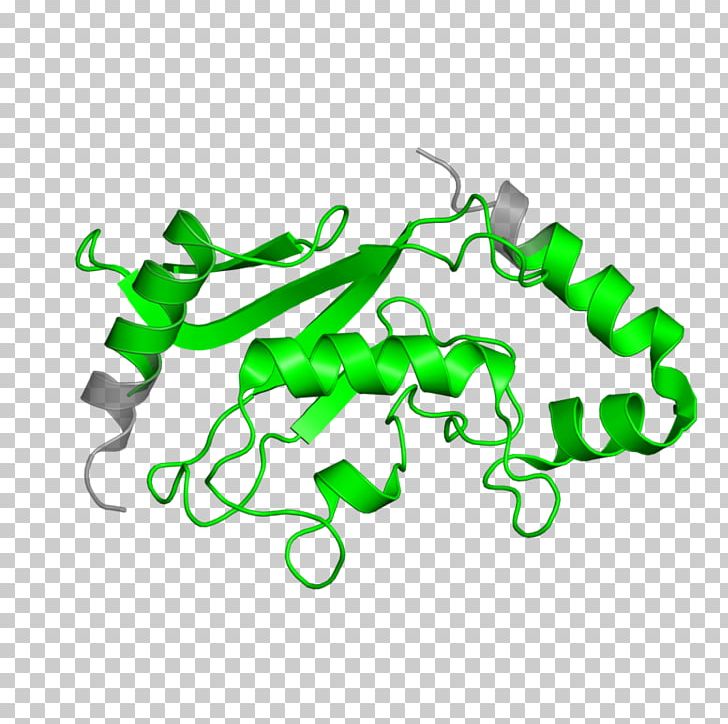 Green PNG, Clipart, Area, Art, Artwork, Enzyme, Green Free PNG Download