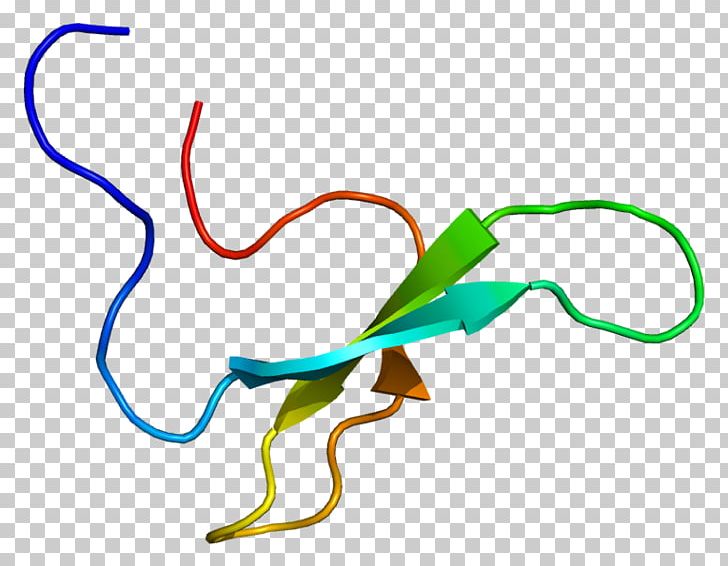 NEDD4L Protein Structure Cell Enzyme PNG, Clipart, 4 L, Animal Figure, Area, Artwork, Biology Free PNG Download