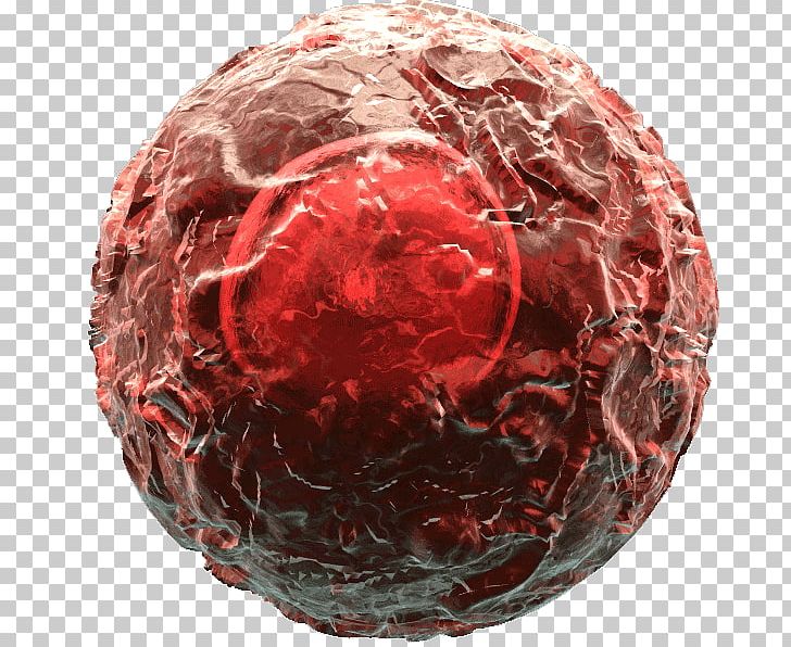 Regulatory T Cell T Helper 17 Cell Macrophage Natural Killer Cell PNG, Clipart, B Cell, Cancer Cell, Cell, Cytokine, Globular Free PNG Download