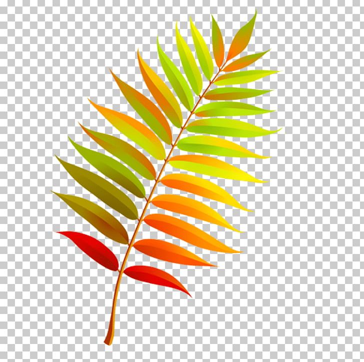 Rowan Leaf Autumn Portable Network Graphics PNG, Clipart, Autumn, Autumn Leaf Color, Autumn Leaves, Bud, Desktop Wallpaper Free PNG Download