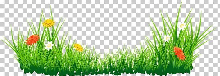 Computer Wallpaper Grass Encapsulated Postscript PNG, Clipart, Cliparts Grass Border, Commodity, Computer Wallpaper, Display Resolution, Encapsulated Postscript Free PNG Download