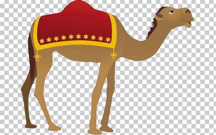 Dromedary Christmas Day Nativity Scene Open PNG, Clipart, Arabian Camel, Biblical Magi, Camel, Camel Clipart, Camel Like Mammal Free PNG Download