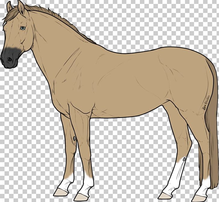 Mule Foal Stallion Mare Colt PNG, Clipart, Animal Figure, Bridle, Cartoon, Characters, Colt Free PNG Download
