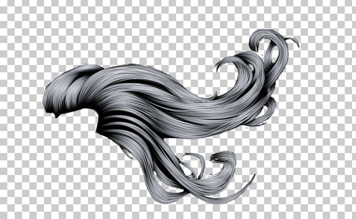 Long Hair Canities PNG, Clipart, Beard, Body Jewelry, Canities, Desktop Wallpaper, Hair Free PNG Download