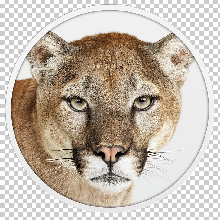 Mac OS X Lion OS X Mountain Lion MacOS Apple PNG, Clipart, Animals, App Store, Big Cats, Carnivoran, Cat Like Mammal Free PNG Download