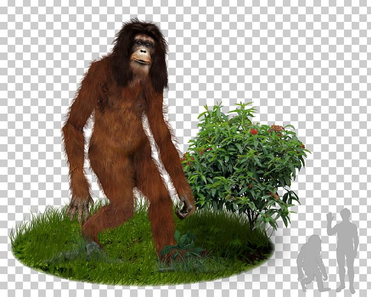 Bigfoot Gorilla Orang Pendek Sumatra Cryptozoology PNG, Clipart, Animals, Ape, Bigfoot, Chimpanzee, Creative Commons Free PNG Download