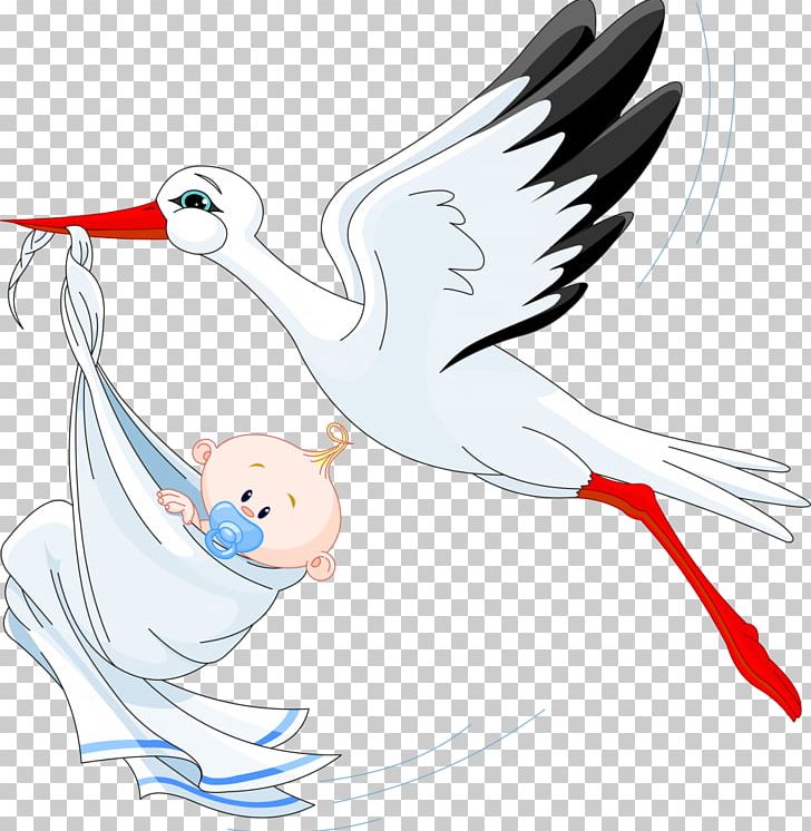 Infant Stork PNG, Clipart, Animals, Artwork, Baby Transport, Beak, Bird Free PNG Download