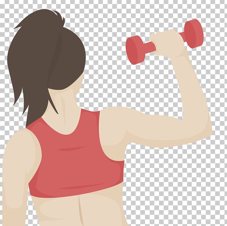 Physical Fitness Weight Training Physical Exercise Fitness Centre Bodybuilding PNG, Clipart, Abdomen, Active Undergarment, Arm, Barbie Doll, Hand Free PNG Download