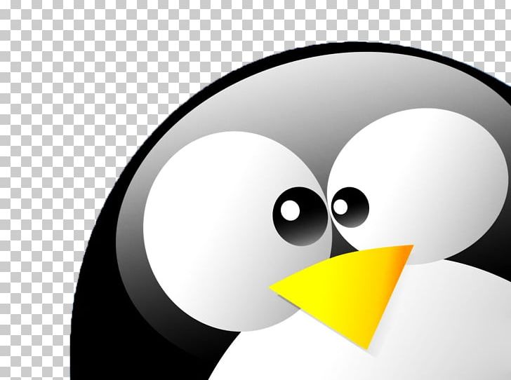 Tux Penguin Desktop Linux Foundation PNG, Clipart, 1080p, Animals, Bird, Computer Wallpaper, Desktop Environment Free PNG Download