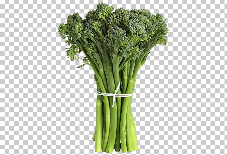 Broccolini Spring Roll Vegetable Cauliflower Blanching PNG, Clipart, Blanching, Brassica Oleracea, Broccoli, Broccolini, Cauliflower Free PNG Download