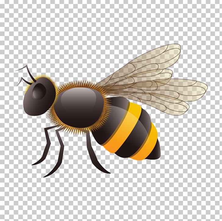 European Dark Bee Insect Vecteur PNG, Clipart, Arthropod, Balloon Cartoon, Bee, Boy Cartoon, Cartoon Character Free PNG Download