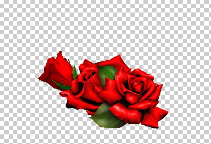 Garden Roses Flower PNG, Clipart, Clipboard, Cut Flowers, Dots Per Inch, Floral Design, Floribunda Free PNG Download