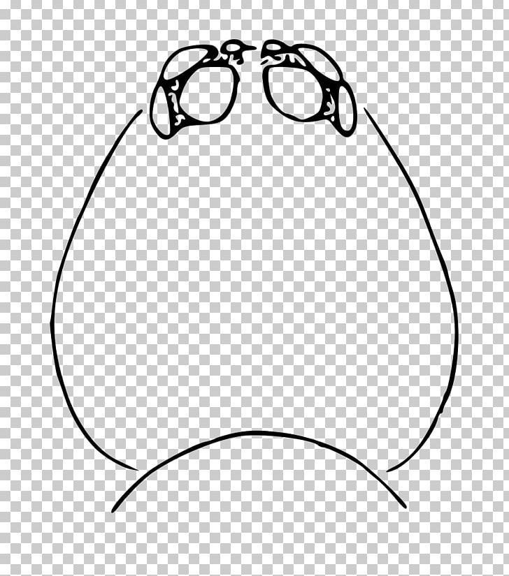 Glasses Nose White PNG, Clipart, Angle, Area, Black, Black And White, Circle Free PNG Download