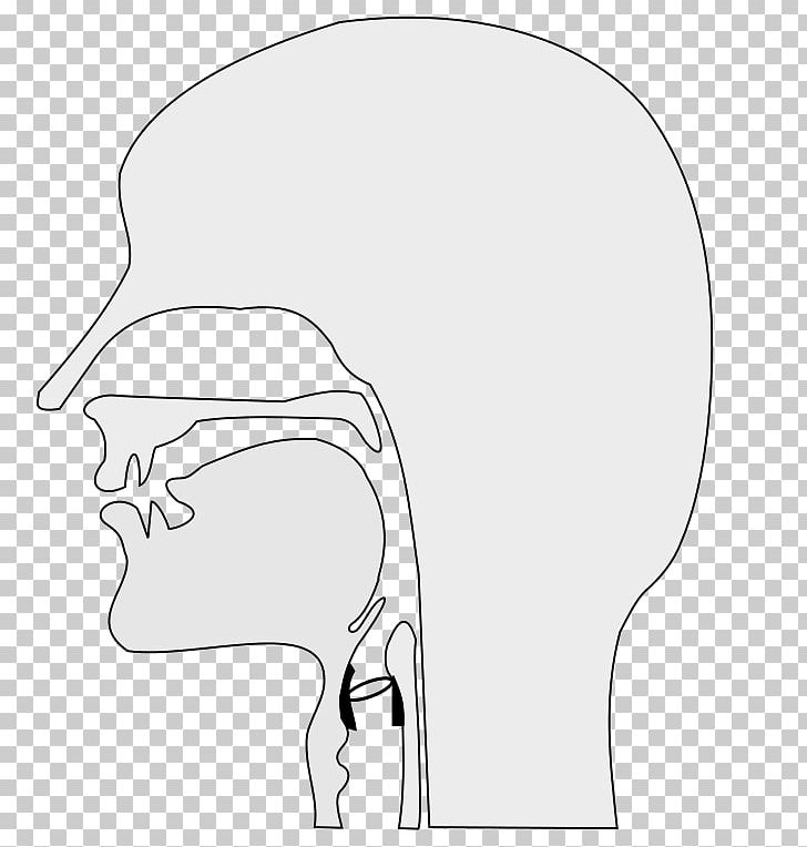 Head And Neck Cancer Homo Sapiens Arm Human Body PNG, Clipart, Arm, Black And White, Bone, Cheek, Drawing Free PNG Download