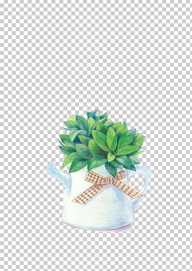 Plant Leaf Devils Ivy Illustration PNG, Clipart, Bonsai, Bougainvillea, Cartoon, Cartoon Illustration, Common Sunflower Free PNG Download