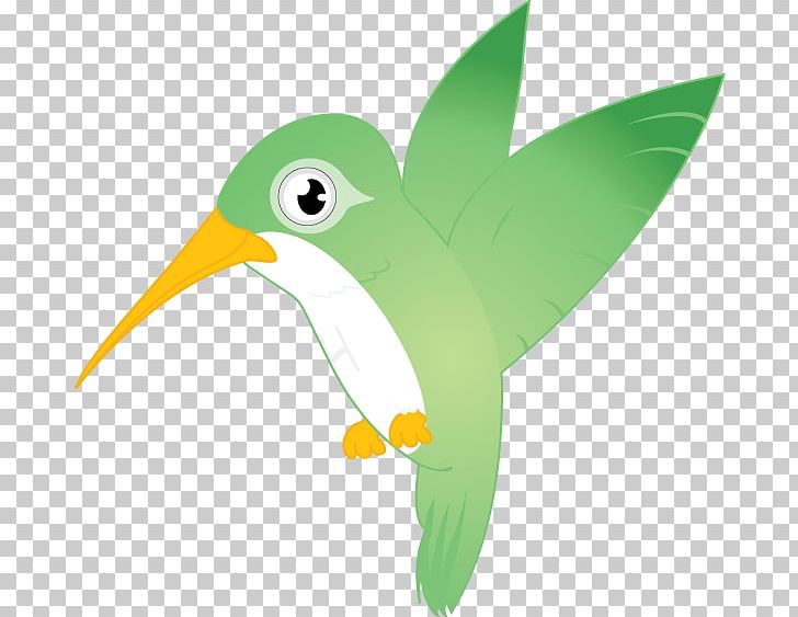 Bird Beak Cartoon PNG, Clipart, Animal, Animals, Beak, Bird, Cartoon Free PNG Download