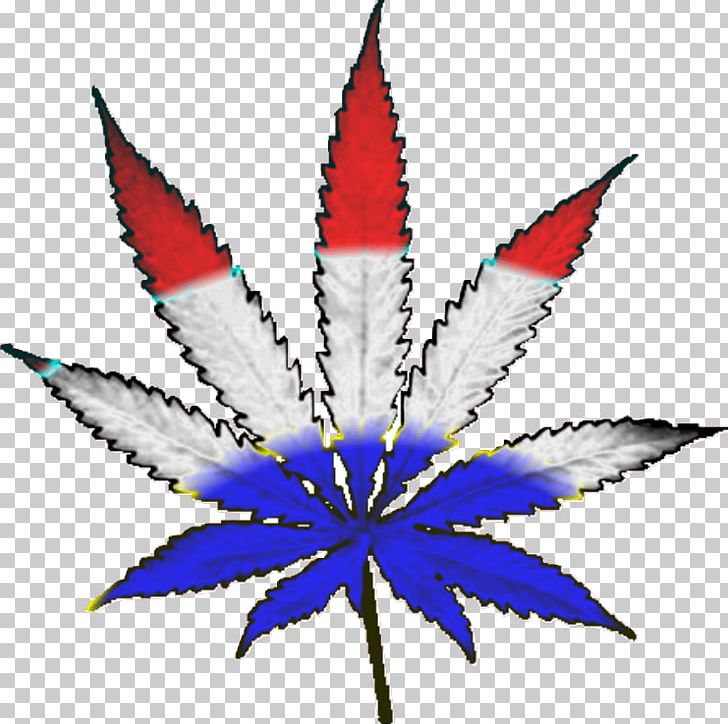 Cannabis Smoking Substance Intoxication Decal PNG, Clipart, 420 Day, Cannabis, Cannabis Smoking, Decal, Drawing Free PNG Download