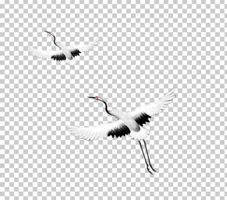Crane Flight Bird Goose PNG, Clipart, Beak, Bird Flight, Black And White, Computer Wallpaper, Crane Free PNG Download