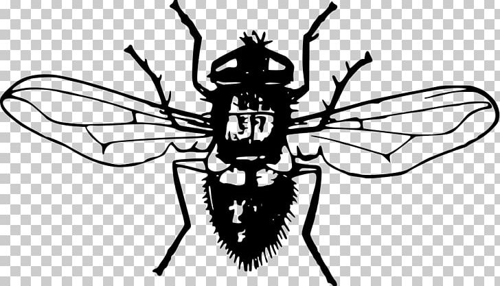 Insect Fly PNG, Clipart, Animals, Arthropod, Artwork, Black And White, Computer Icons Free PNG Download