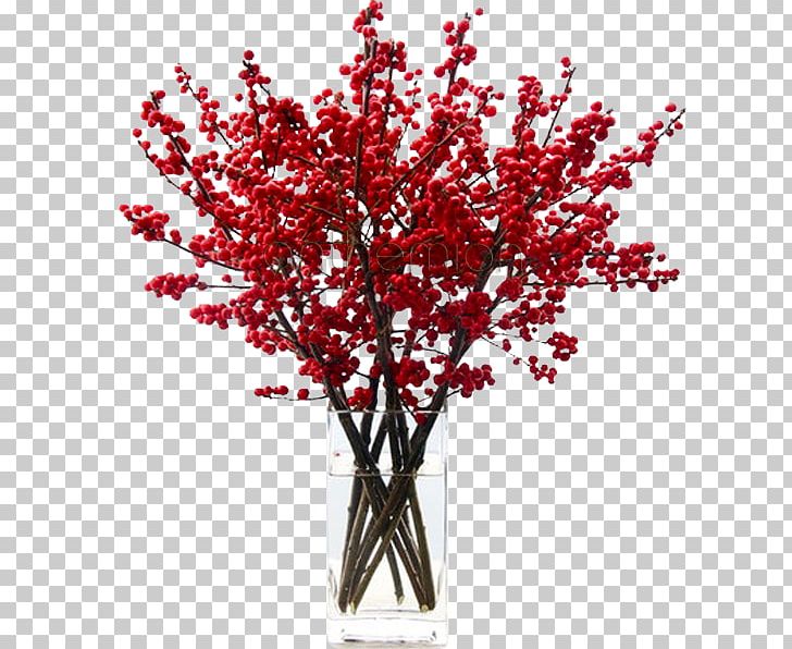 Name Day Flower Christmas Red Holiday PNG, Clipart, Branch, Christmas, Christmasss Flower, Color, Cut Flowers Free PNG Download