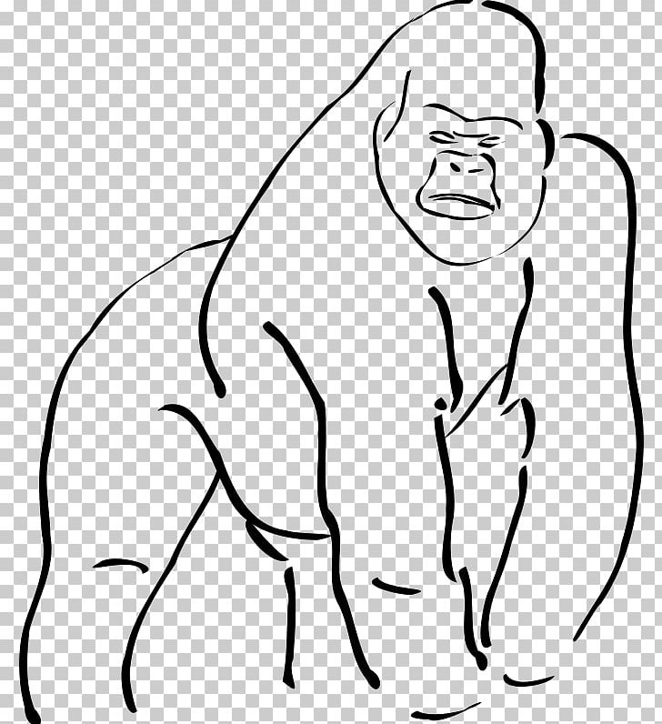 Mountain Gorilla Ape Drawing PNG, Clipart, Animal, Animals, Ape, Arm, Art Free PNG Download