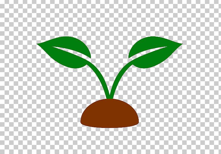 Plant Computer Icons Information PNG, Clipart, Animal, Artwork, Computer Icons, Computer Software, Flowerpot Free PNG Download
