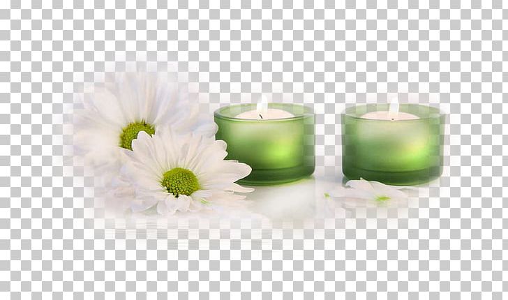 Hotel 达龙建设股份有限公司 Medicine Therapy PNG, Clipart, Bougie, Candle, Flower, Health, Health Fitness And Wellness Free PNG Download