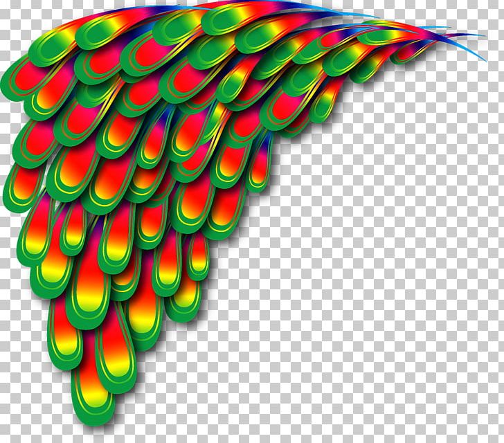 Peafowl PNG, Clipart, Adobe Illustrator, Angel Wing, Angel Wings, Animals, Bright Free PNG Download