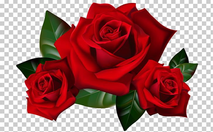 Rose Flower PNG, Clipart, Color, Cut Flowers, Display Resolution, Download, Editing Free PNG Download