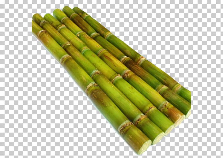 Sugarcane Stock Photography PNG, Clipart, Asparagus, Bamboo, Cane, Can Stock Photo, Food Drinks Free PNG Download